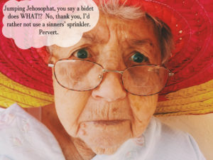 Americans thought bidets were immoral and too sensual.